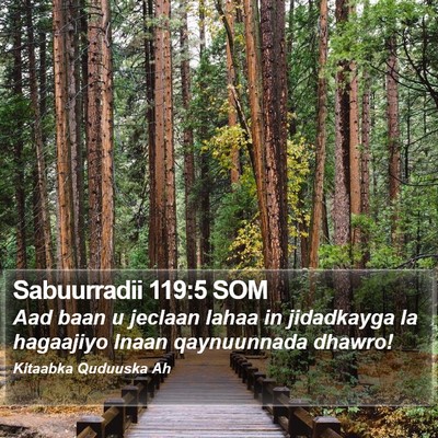 Sabuurradii 119:5 SOM Bible Verse Image
