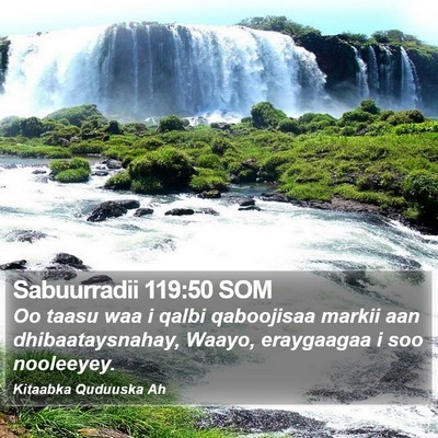 Sabuurradii 119:50 SOM Bible Verse Image