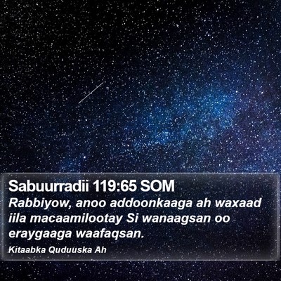 Sabuurradii 119:65 SOM Bible Verse Image