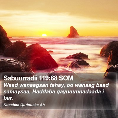 Sabuurradii 119:68 SOM Bible Verse Image