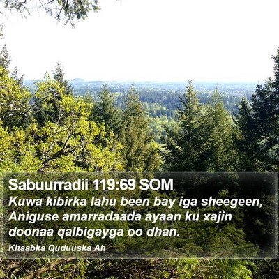 Sabuurradii 119:69 SOM Bible Verse Image