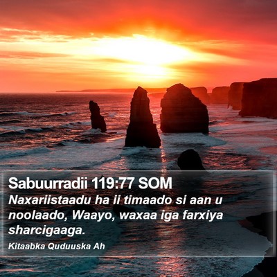 Sabuurradii 119:77 SOM Bible Verse Image