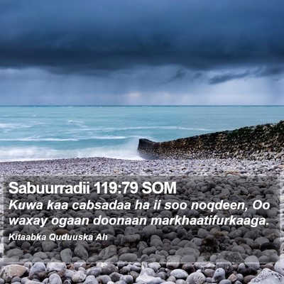 Sabuurradii 119:79 SOM Bible Verse Image