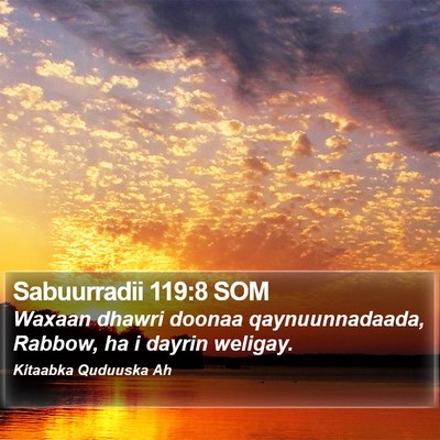 Sabuurradii 119:8 SOM Bible Verse Image