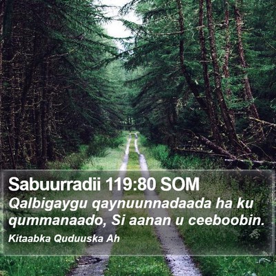 Sabuurradii 119:80 SOM Bible Verse Image