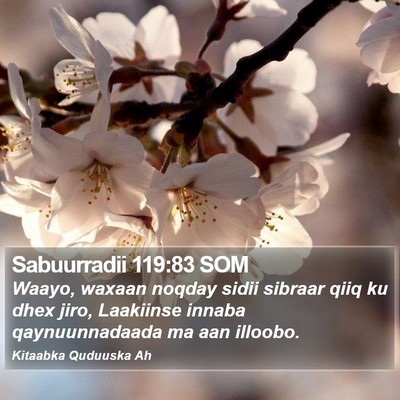 Sabuurradii 119:83 SOM Bible Verse Image