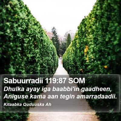 Sabuurradii 119:87 SOM Bible Verse Image