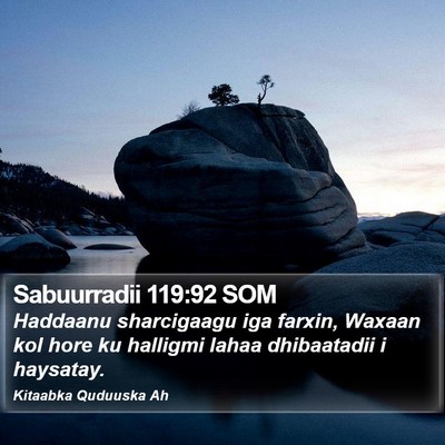 Sabuurradii 119:92 SOM Bible Verse Image