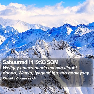 Sabuurradii 119:93 SOM Bible Verse Image
