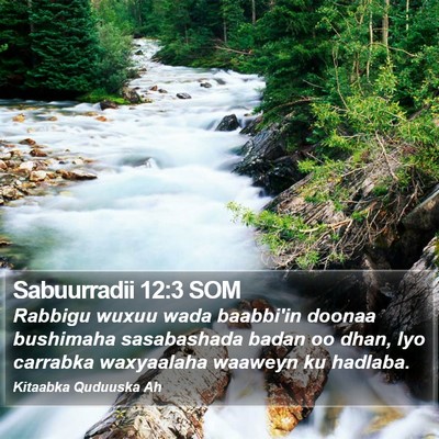 Sabuurradii 12:3 SOM Bible Verse Image