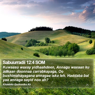 Sabuurradii 12:4 SOM Bible Verse Image