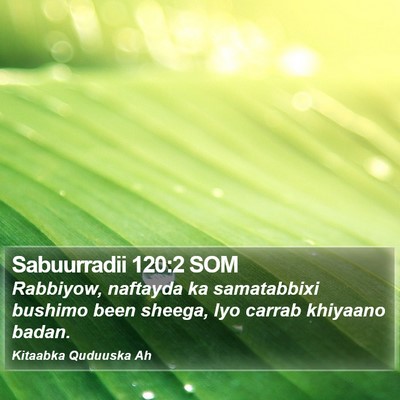 Sabuurradii 120:2 SOM Bible Verse Image