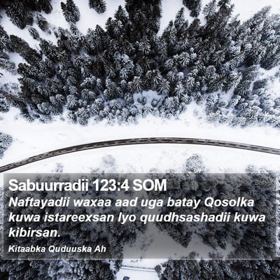 Sabuurradii 123:4 SOM Bible Verse Image