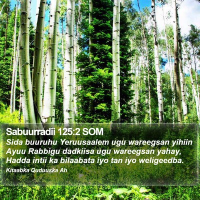 Sabuurradii 125:2 SOM Bible Verse Image