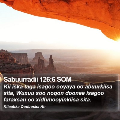 Sabuurradii 126:6 SOM Bible Verse Image