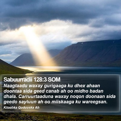 Sabuurradii 128:3 SOM Bible Verse Image