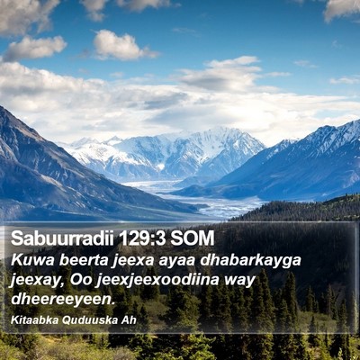 Sabuurradii 129:3 SOM Bible Verse Image