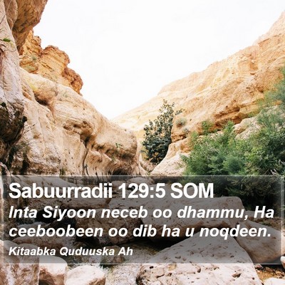Sabuurradii 129:5 SOM Bible Verse Image