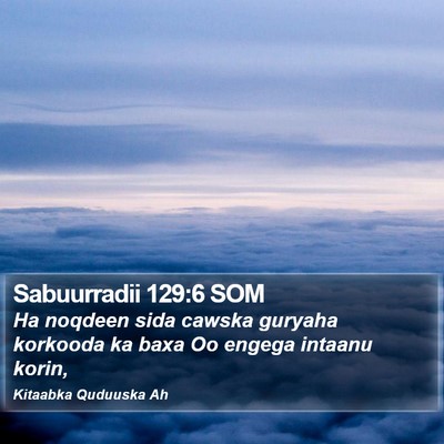 Sabuurradii 129:6 SOM Bible Verse Image