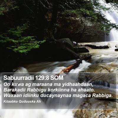 Sabuurradii 129:8 SOM Bible Verse Image