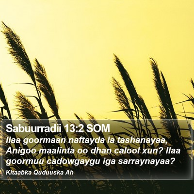 Sabuurradii 13:2 SOM Bible Verse Image