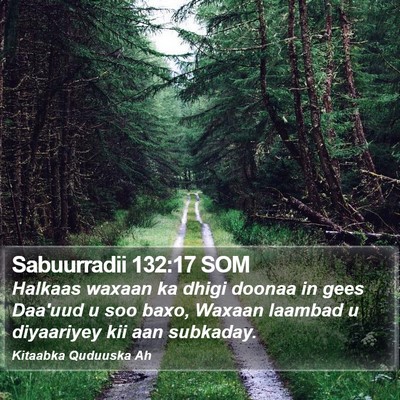 Sabuurradii 132:17 SOM Bible Verse Image