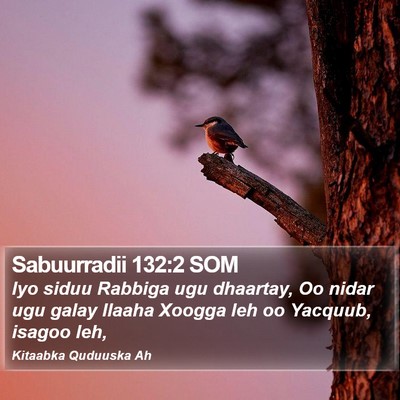 Sabuurradii 132:2 SOM Bible Verse Image