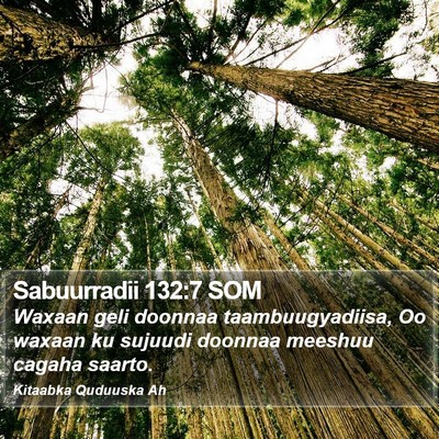 Sabuurradii 132:7 SOM Bible Verse Image