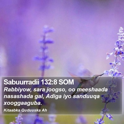 Sabuurradii 132:8 SOM Bible Verse Image