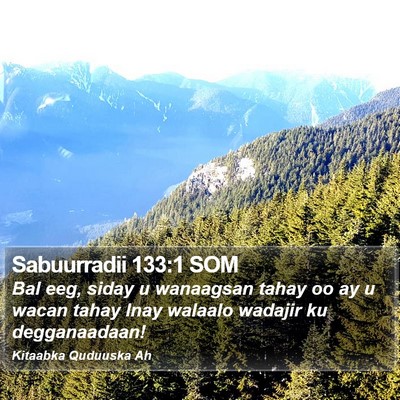 Sabuurradii 133:1 SOM Bible Verse Image