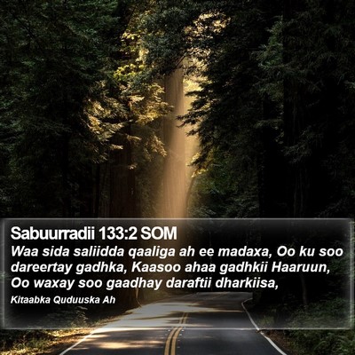 Sabuurradii 133:2 SOM Bible Verse Image
