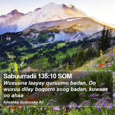 Sabuurradii 135:10 SOM Bible Verse Image