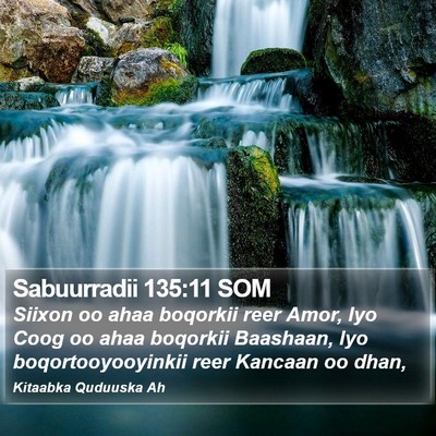 Sabuurradii 135:11 SOM Bible Verse Image