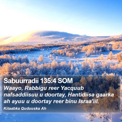 Sabuurradii 135:4 SOM Bible Verse Image