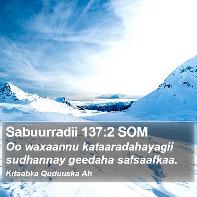 Sabuurradii 137:2 SOM Bible Verse Image
