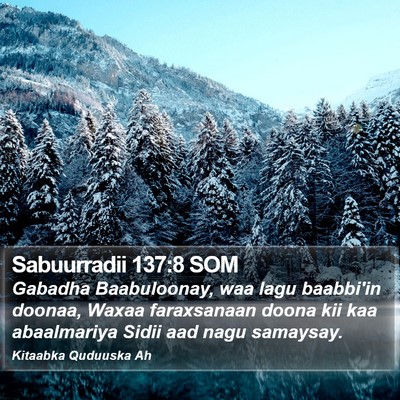 Sabuurradii 137:8 SOM Bible Verse Image