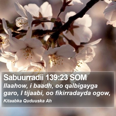 Sabuurradii 139:23 SOM Bible Verse Image