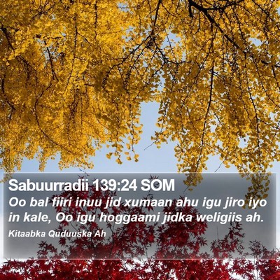 Sabuurradii 139:24 SOM Bible Verse Image