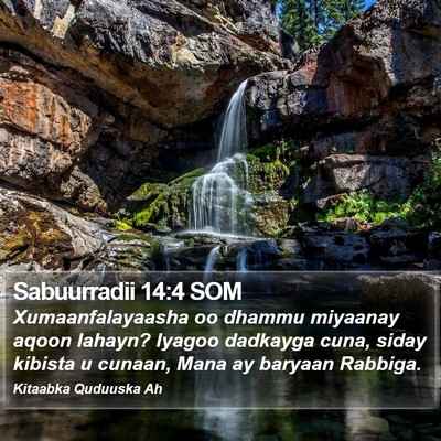 Sabuurradii 14:4 SOM Bible Verse Image