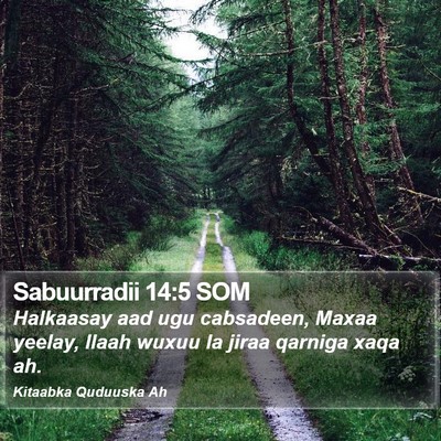 Sabuurradii 14:5 SOM Bible Verse Image