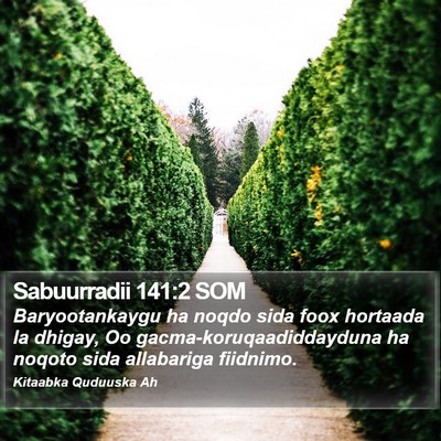 Sabuurradii 141:2 SOM Bible Verse Image