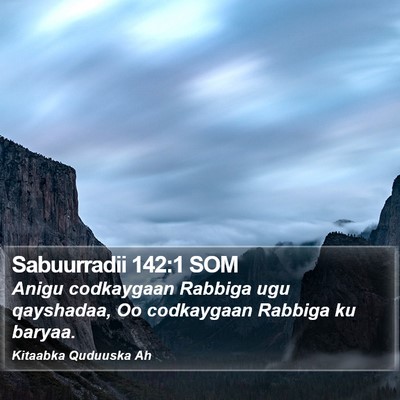 Sabuurradii 142:1 SOM Bible Verse Image