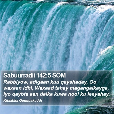 Sabuurradii 142:5 SOM Bible Verse Image