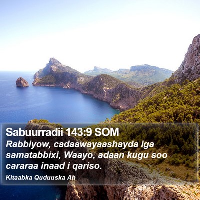 Sabuurradii 143:9 SOM Bible Verse Image
