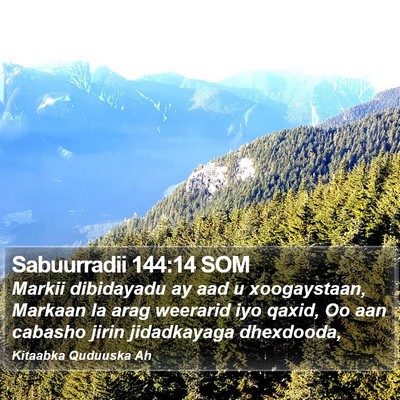 Sabuurradii 144:14 SOM Bible Verse Image