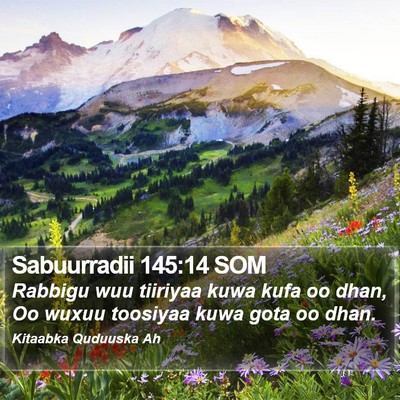 Sabuurradii 145:14 SOM Bible Verse Image