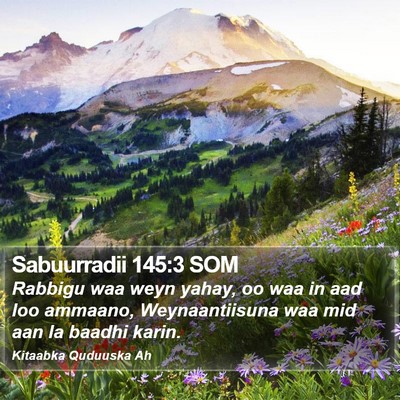 Sabuurradii 145:3 SOM Bible Verse Image