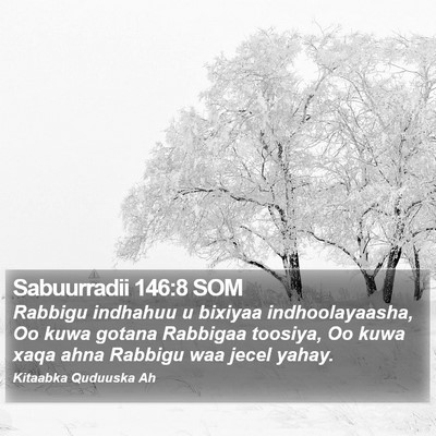 Sabuurradii 146:8 SOM Bible Verse Image