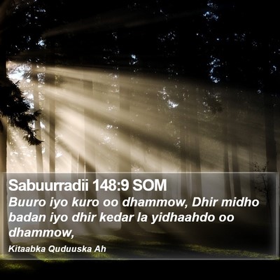 Sabuurradii 148:9 SOM Bible Verse Image