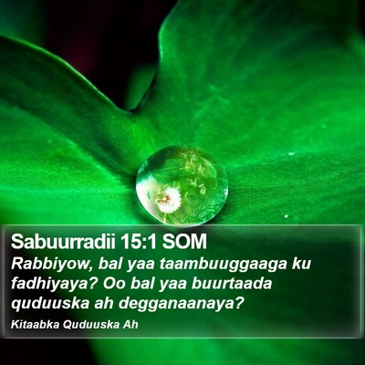 Sabuurradii 15:1 SOM Bible Verse Image